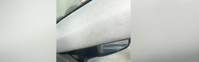 VIDEO | Uus-Sadama tänava on vallutanud rotid. Elanikud muretsevad, millised „kingitused“ neid pärast jõule ootavad