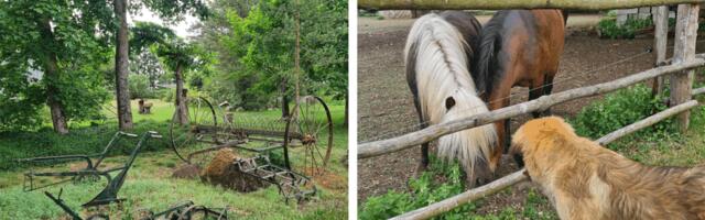 TÄNAVUSE KÜMNENDAT JUUBELIT TÄHISTAVA AVATUD TALUDE PÄEVA AVAÜRITUS TOIMUB KOOLMEISTRI TALUS