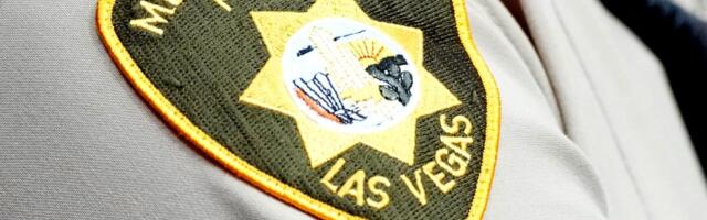 Israeli Cyber Official Arrested During Undercover Internet Crimes Against Children Sting