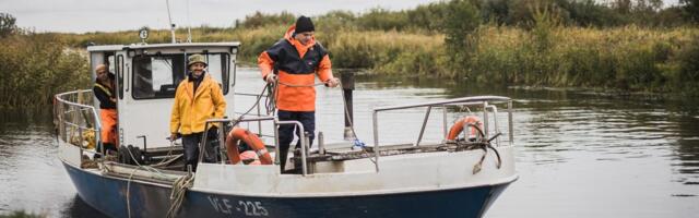 Süüdistada mereloomi ja -linde on lihtne, aga millised oleks kalapüüdjate abinõud kalavarude parendamiseks?