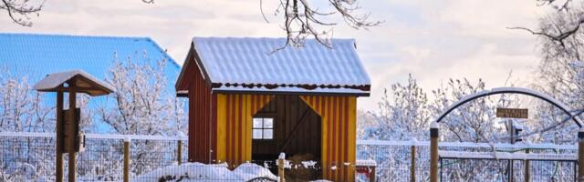 ILMATEADE | Ees ootavad leebemad ja kerge lumelisaga päevad