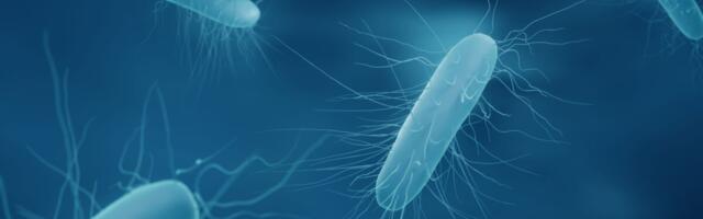 FDA andis esmakordselt loa väljaheite siirdamise ravile