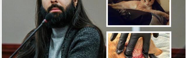 JÕHKER TEGU! Muusik Anis Arumetsa kassi tulistati kuklasse: leidsime ta teeservast surnuna