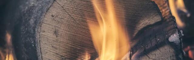 Kuidas valida õige küttepuu? Praktiline ja oluline juhend talveks