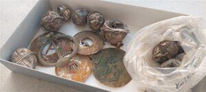 Eesti arheoloogiapärand: kaitstud või kaitseta?