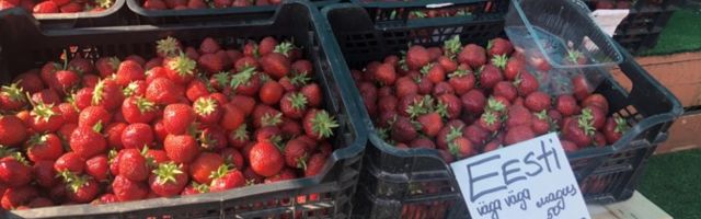 Magus pettus: vahendajad müüvad välismaa maasikaid Eesti talutoodangu pähe