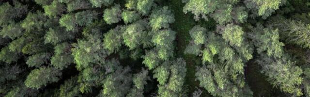 Fine Bedding Company otsib tehase juhti