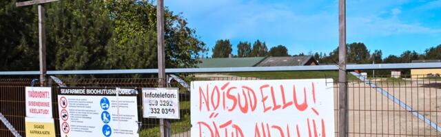 Alanud on uus meeleavaldus! Protestijad on taas Nurme farmi värava ees, et takistada sigade hukkamist