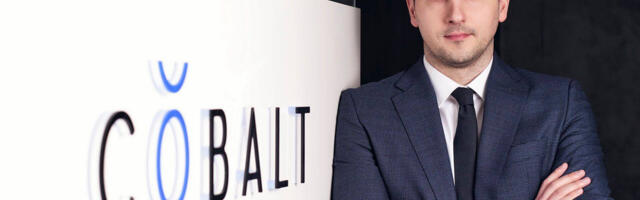 Advokaat selgitab: milliseid dokumente ja põhjendusi ootab maksuhaldur debt push-down struktuuri kasutamisel?