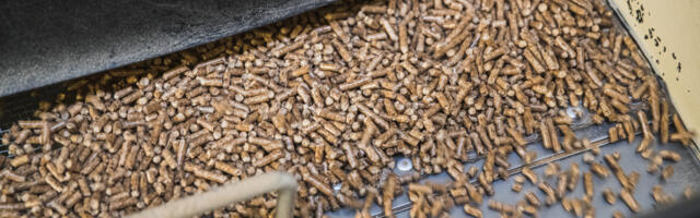 Seis pelletite turul: nõudlus on hinda tõstnud, osa tootjaid kehtestas müügipiirangu