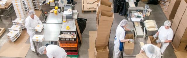 E-Piima ühistu liikmed otsustasid saneerimise kasuks, kuid kohtunik algatas pankrotimenetluse