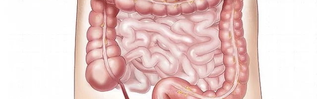 TEADUSINTERVJUU | Uskumatult oluline jämesool
