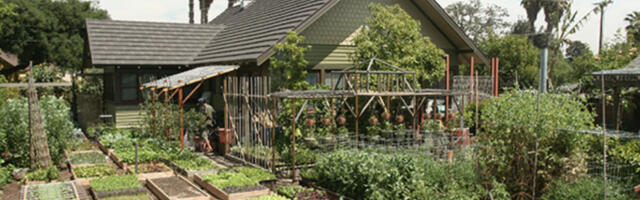 Mis on permakultuur ja miks see oluline on?