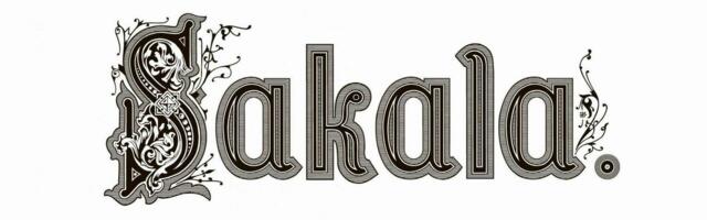 Juhtkiri ⟩ Juuksekarva lõhkiajamine tuleb lõpetada