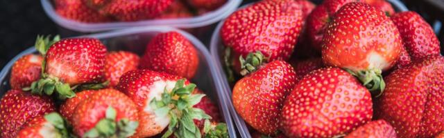 TURUHINNAD | Importmaasikas on müügil ning palju kõrgema hinnaga kui varem