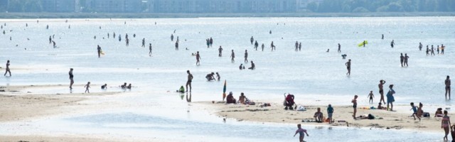 Terviseamet soovitab Stroomi rannas ujumine otsekohe ja kogu suveks lõpetada – linnavõim vilistab