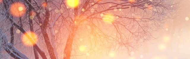 Päevahoroskoop : neljapäev, 15. jaanuar