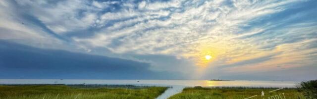 Kaspar Roost NÄDALA FOTO