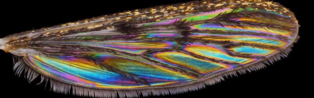 Teadlase mitmekesised töö- ja elurajad