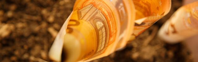 Tänasest näha: kontrolli oma 2026. aasta maamaksu suurust, et veebruaris üllatusi tuleks