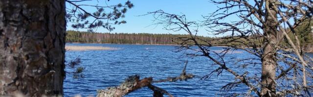 Ökoskoop. Veenädal