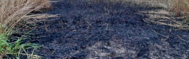 PILDID: Viljandi vallas põles pilliroog