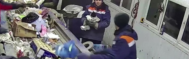 Reporter: Jõuluime päästis minema visatud kassi elu