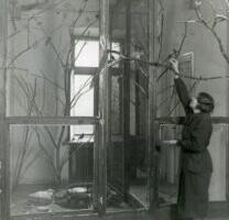 Unustatud imede tuba