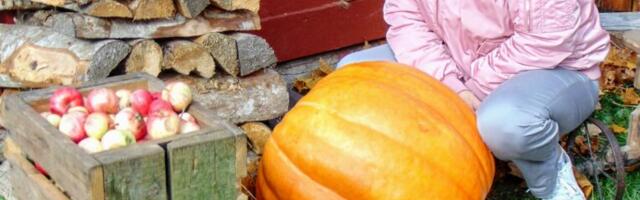 RUSLAN DONTSOVI GALERII MEENUTAB: ubinalaat Viimsi vabaõhumuuseumis