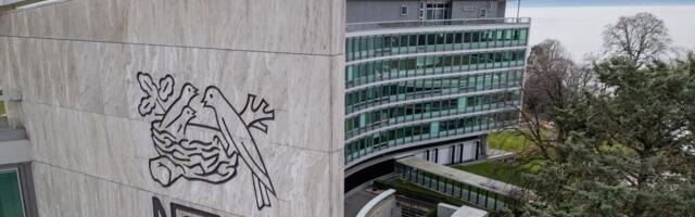 Nestle kasum suurenes hüppeliselt