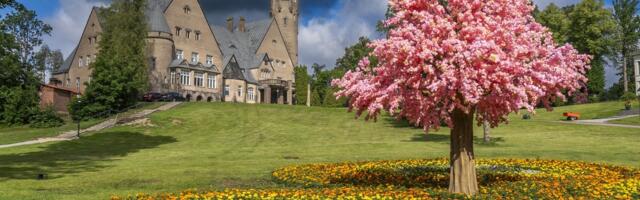 Sal-Salleri ettevõte sai tervisekassalt 11 000 eurot, lossispaa üle 50 000 euro