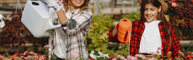 Lastekaitse Liit tegi Vabariigi Presidendile pöördumise seoses töölepingu seaduse muutmisega 