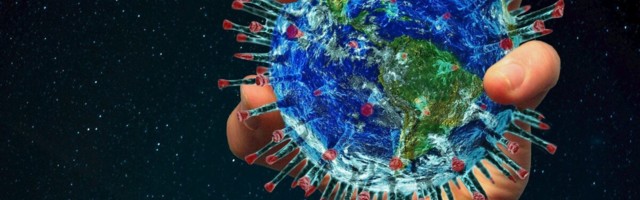 Kui kehas juba on koroonaviiruse antikehasid, kas neist on kasu ka viiruse uute tüvede vastu?