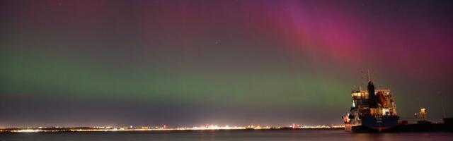 Reet Karjus NÄDALA FOTO