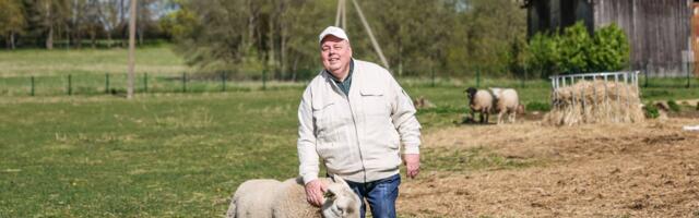HUNDIHIRM VÕTAB VÕIMUST: „Ajan oma loomad ööseks lauta, aga see on katastroof!“