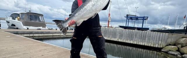 Purakas! Tallinnas alanud lõhepüügivõistluse esimesel päeval püüti 15-kilone lõhe