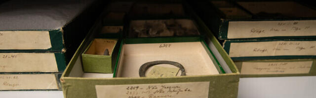 Muuseumide digikogud on üles leidnud vaid väike osa ühiskonnast