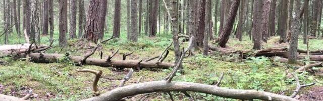 Maakasutajate sõnul tuleks looduse taastamise kava koostamine peatada