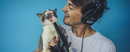 Sotsiaalmeedias kaaslast otsivatel meestel tasub vältida pilte, kus ollakse koos kassiga.