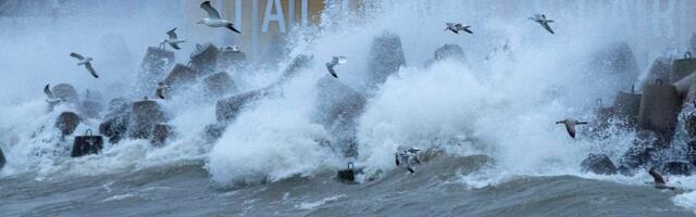 ILMATEADE | Üle Eesti liiguvad tormituuled, mis võivad põhjustada ulatuslikke elektrikatkestusi