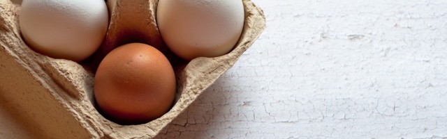 Kolmandatest riikidest imporditud kanamunad sunnivad järelevalveametnikud valvsusele