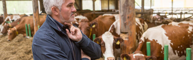 Hinnarallist ja selle mõjudest räägivad meie igapäevase toidu tootjad