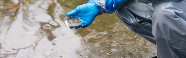 COVIDi sisaldus reovees on pea kõikjal Eestis väga kõrge