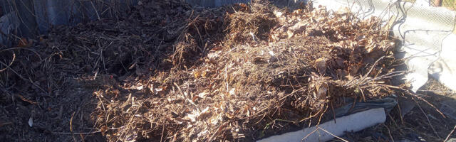 Koduaias lahtises aunas kompostimine muutub taunitavaks