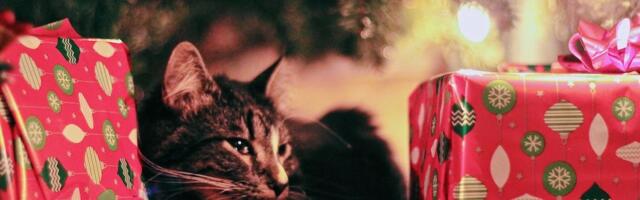 Praktilised kingitused noortele