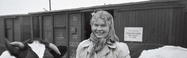 70 aastat tagasi: Eesti lehmad, sead ja toidukraam sõitsid Moskvasse