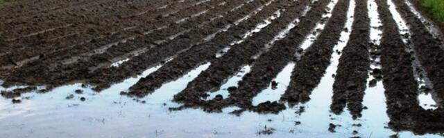 Vanad maaparandussüsteemid vajavad tähelepanu Vanad maaparandussüsteemid vajavad tähelepanu