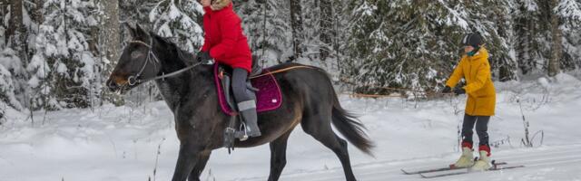 Hobusuusklemine!? Alutagusel sündis uus sportlik meelelahutus