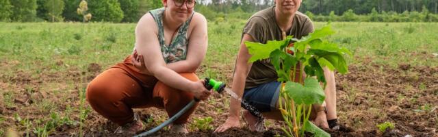 Kõplahõimlaste ikalduseaasta päädis siiski isikliku kasumiga