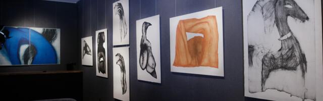 Kui sundimatuks annab kunstis minna?